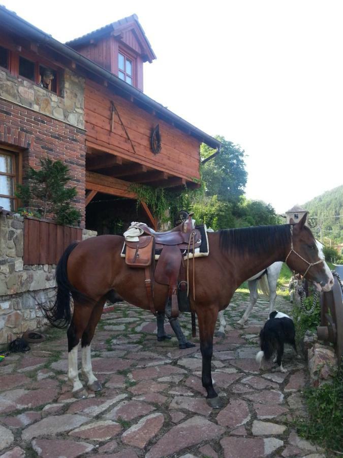 Ubytovani Steak-Hredle Exterior photo